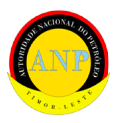 ANP logo